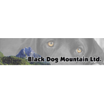 Black Dog Mountain Ltd