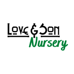 Love & Son Nursery