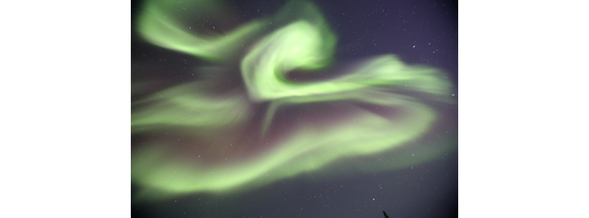 Yellowknife Tours Ltd.