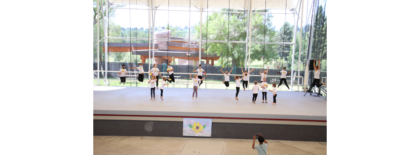 Freedom School of Dance