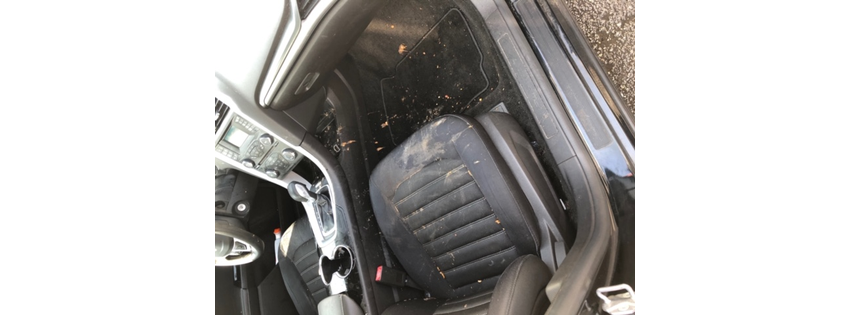 Ace Auto Detail NJ LLC