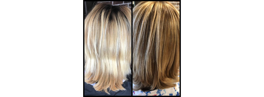 Salon 221