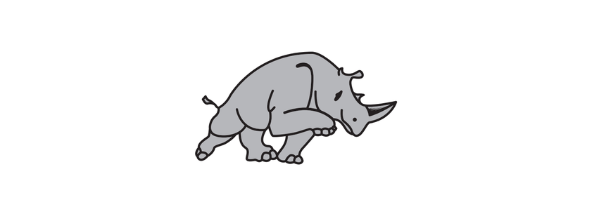 Rhino Chiropractic & Holistic Wellness Center: John Gehnrich, DC