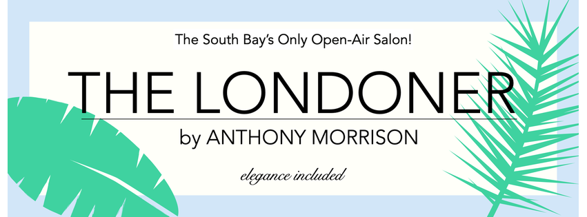 The Londoner by Anthony Morrison