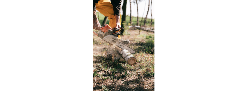 Beautiful Tree Service INC