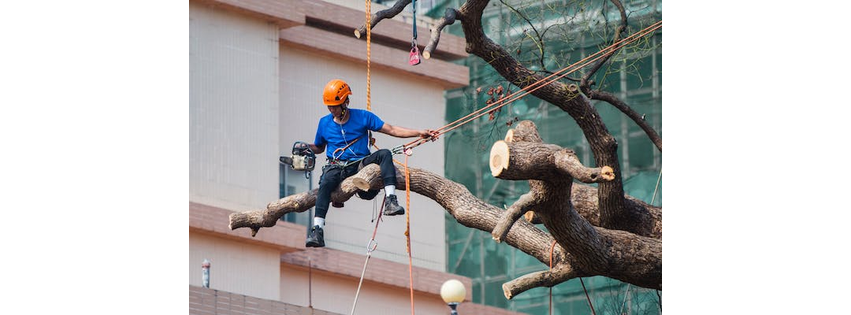 Beautiful Tree Service INC